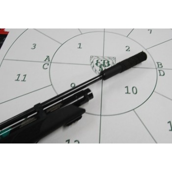 Weihrauch HW110 .22 Weihrauch HW110 .22